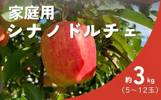 KR24 りんご シナノドルチェ 家庭用 約3㎏（5〜12玉） 長野県松川町産／9月中旬頃〜発送//長野県 南信州 松川町産 ギフト リンゴ 林檎 早生りんご 農家直送 農家支援 産地直送 珍しいりんご