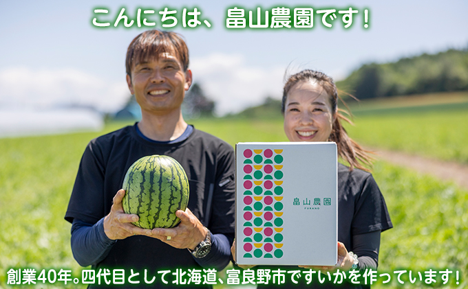 【7・8月 夏のフルーツ定期便2回】メロン1玉1.6kg こだまスイカ1玉 堪能 北海道 富良野産 すいか 西瓜  メロン 夏 フルーツ ふらの 甘い 糖度  ギフト (畠山農園）