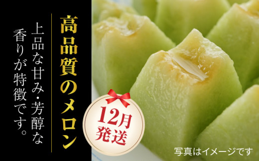【先行予約】クリスマスメロン セット 【株式会社 前田ファーム】 [ZCM004]