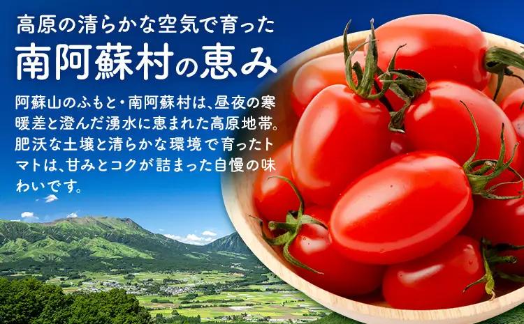 ミニトマト キャロルスター 約3kg ますだふぁーむ《7月上旬-11月末頃出荷》熊本県 南阿蘇村 キャロルスター 野菜 旬 夏野菜 トマト