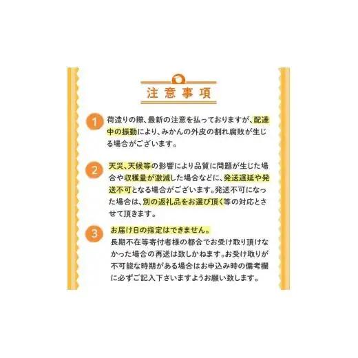 訳あり 土佐文旦 【 10kg 】 202７年１月下旬より発送