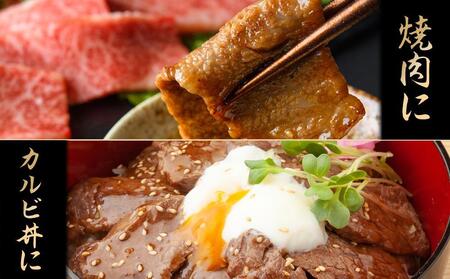 最高級ブランド和牛「神戸牛（神戸ビーフ）」上カルビ500g　焼き肉用