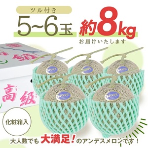 SC0678　特選 庄内産 アンデスメロン　約8kg(青肉/5～6玉入つる付) 