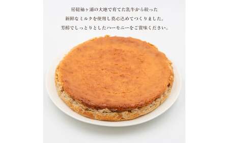 奥野牧場ベイクドチーズケーキ ホール (大) イチゴ｜チーズ ケーキ スイーツ フルーツ ミルク 牧場 ギフト お祝い 袖ケ浦 [0228]