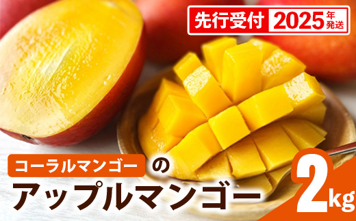 【先行受付】【2025年発送】コーラルマンゴーのアップルマンゴー [優品] 約2kg - 先行予約 沖縄マンゴー 産地直送 国産 旬の味覚 季節の果物 贈り物 ギフト 沖縄県 八重瀬町