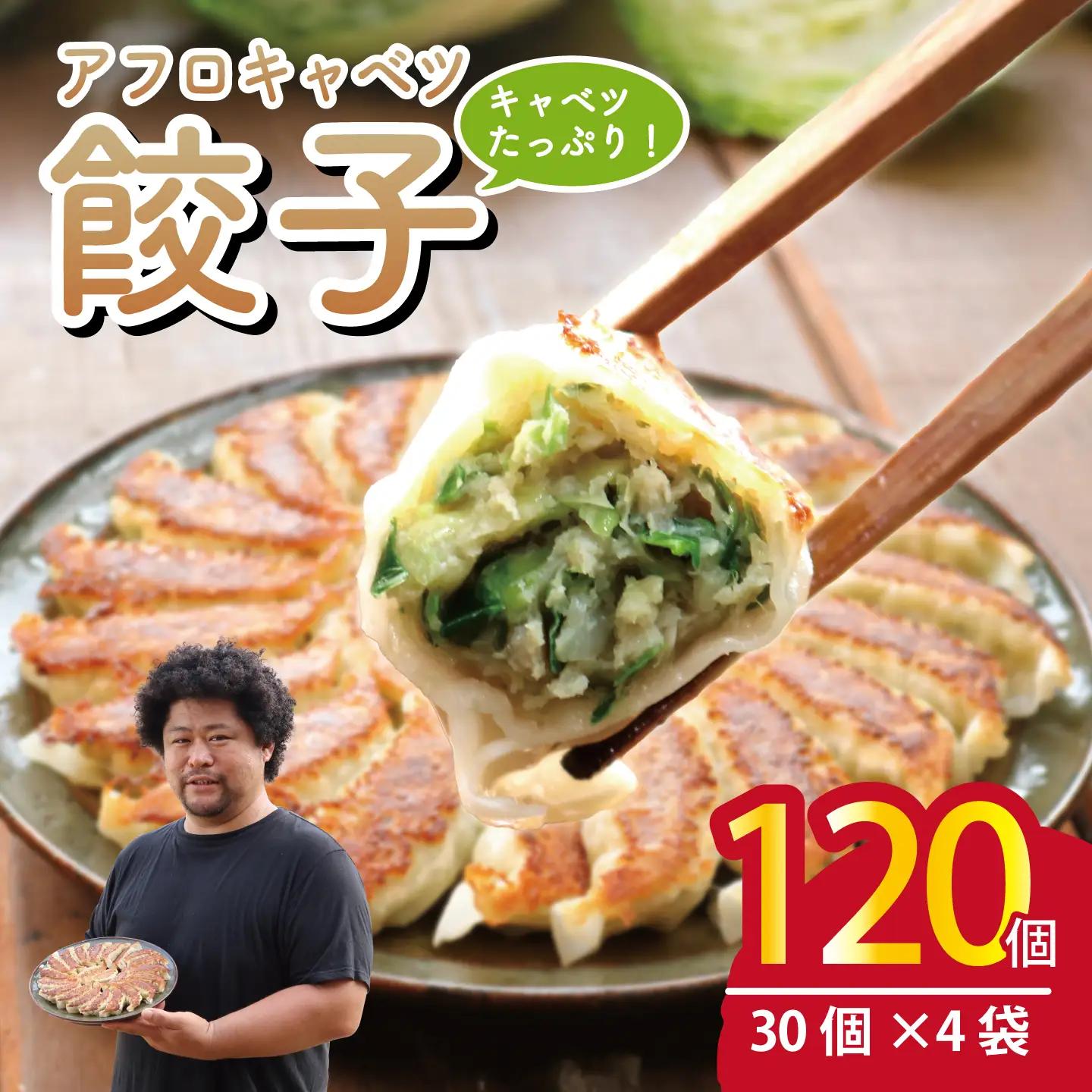 餃子 きゃべつ餃子 120個