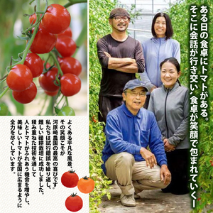 ミニトマト プチルージュ 約3.6kg トマト