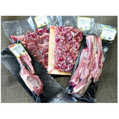 ふるさと納税 登米市 宮城県産羊4点セット1.35kg(スペアリブ、ラムチョップ、挽肉、焼肉用) |  | 02