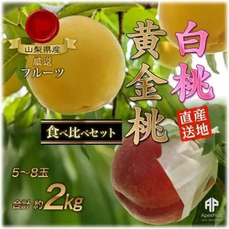 【2026年発送】山梨市産　白桃と黄金桃の食べ比べセット　約2kg(5～8玉)【配送不可地域：離島】【1431881】