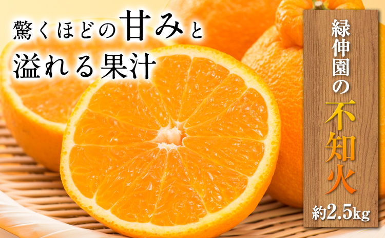 『緑伸園』の不知火・肥の豊 約2.5kg あのデコポンと同品種《12月中旬-1月下旬頃出荷》