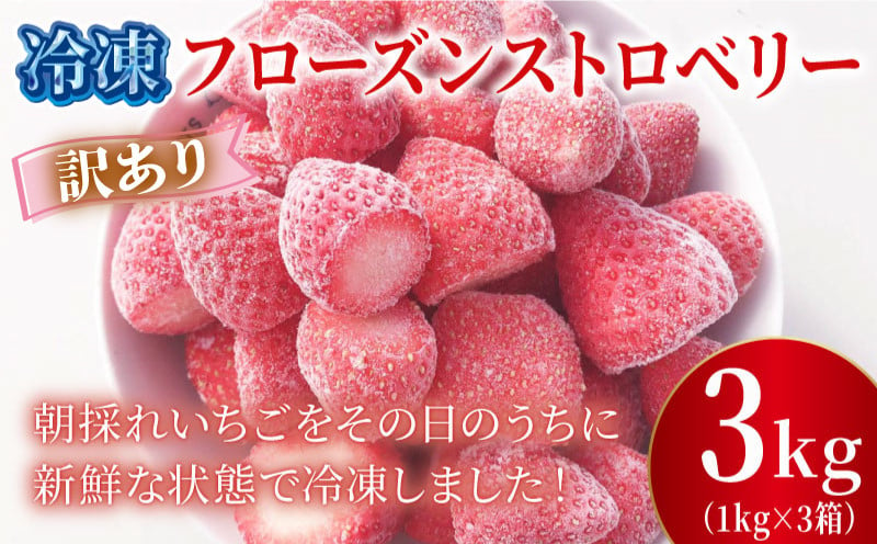 
            訳あり 冷凍 いちご 3kg フローズン ストロベリー 産地直送 ご当地 苺 果物 くだもの フルーツ デザート ふるさと納税3.0 よつぼし 紅ほっぺ かおり野 恋みのり おいCベリー 食品 げんき農場 埼玉県 羽生市
          