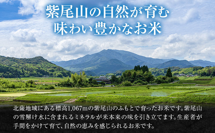 【3ヶ月定期便】令和7年産 薩摩のさつま ひのひかり  5kg×1袋×3回 計15kg  北さつま農協《お申込み翌月から出荷》鹿児島県 さつま町 米 こめ コメ お米 精米 白米 ヒノヒカリ 鹿児島県