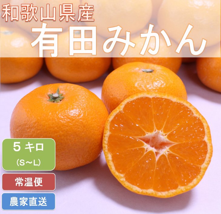 こだわりの和歌山県産 有田みかん 5kg（S～Lサイズおまかせ）ひとつひとつ手選別で厳選！生産者から直送 ※2025年11月下旬頃より順次発送予定