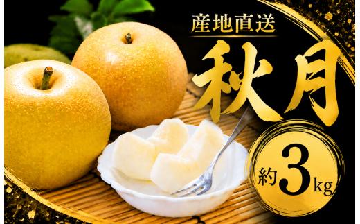 梨 あきづき 約3kg  (大玉 約6玉)  大玉 贈答用 秀品 茨城県産 梨産地 秋月 和梨 期間限定 果物 フルーツ デザート 新鮮  特産品 お取り寄せ グルメ 2026年 令和8年 新鮮 旬  筑西市 関東