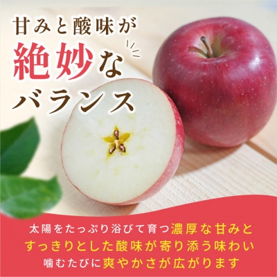 【26年9月順次発送】平均糖度12度以上! 葉とらずサンつがる 約5kg 訳あり 青森県産りんご【配送不可地域：離島・沖縄県】