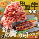 【ふるさと納税】幻の青うなぎ＆田原牛 堪能 定期便 うなぎ 国産 牛肉 切り落とし 大容量 選べる 3回 6回 12回 定期 1年 赤身 カルビ 肉 蒲焼 長蒲焼 高評価 ランキング 1位 鰻 2尾 しゃぶしゃぶ すき焼き 焼肉 ごちそう お楽しみ 送料無料 愛知県 田原市