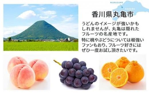 【丸亀讃果】【定期便 6ヶ月】今が旬の厳選果実 詰め合わせ いちご みかん デコポン はっさく びわ 桃 梨 ぶどう マスカット キウイ キウイフルーツ 柿 清見オレンジ せとか 旬の果物 旬のフルー