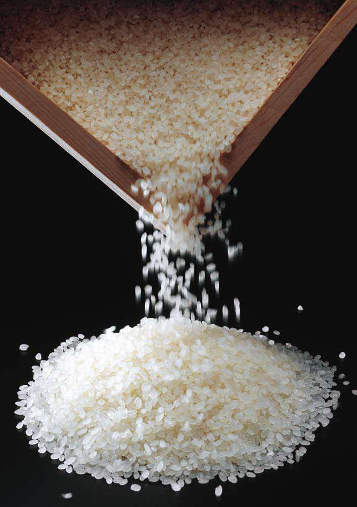 【ふるさと納税】三木のお米（キヌヒカリ）5kg