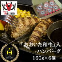 【ふるさと納税】 おおいた和牛 入り 肉は別腹 ハンバーグ 肉 牛肉 ソース付き 惣菜 内閣総理大臣賞 厳選 贅沢 ご褒美 オリジナル 黄金比率 手ごね 急速冷凍 真空パック おかず 晩ご飯 お取り寄せ グルメ 詰め合わせ 大分県 別府市 送料無料