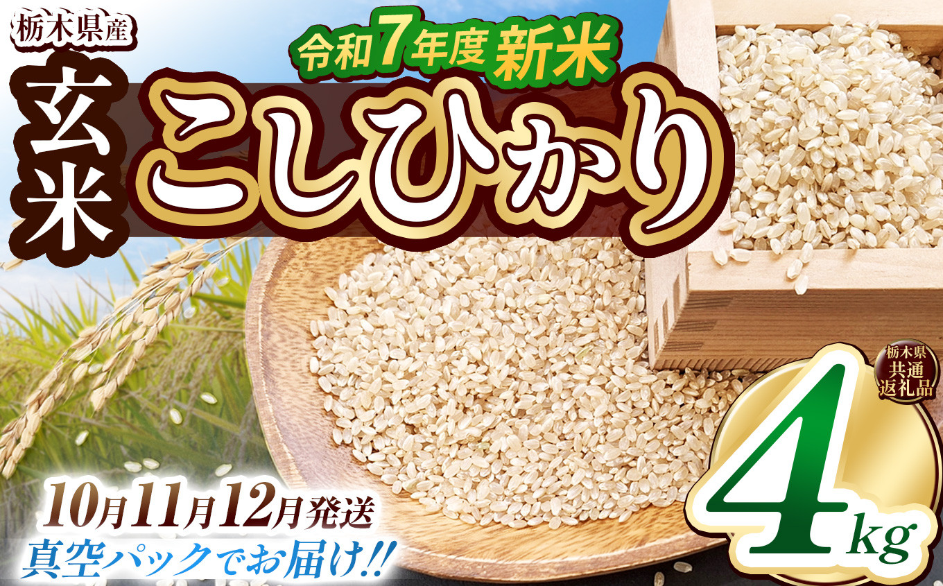 
            【栃木県共通返礼品】【先行予約】【選べる発送月】【数量限定】令和7年度新米 栃木県産こしひかり（玄米真空パック） 2kg×2  | 玄米 精米 お米 コメ こしひかり 先行予約 ブランド米 栃木県 特産品  下野市 送料無料
          