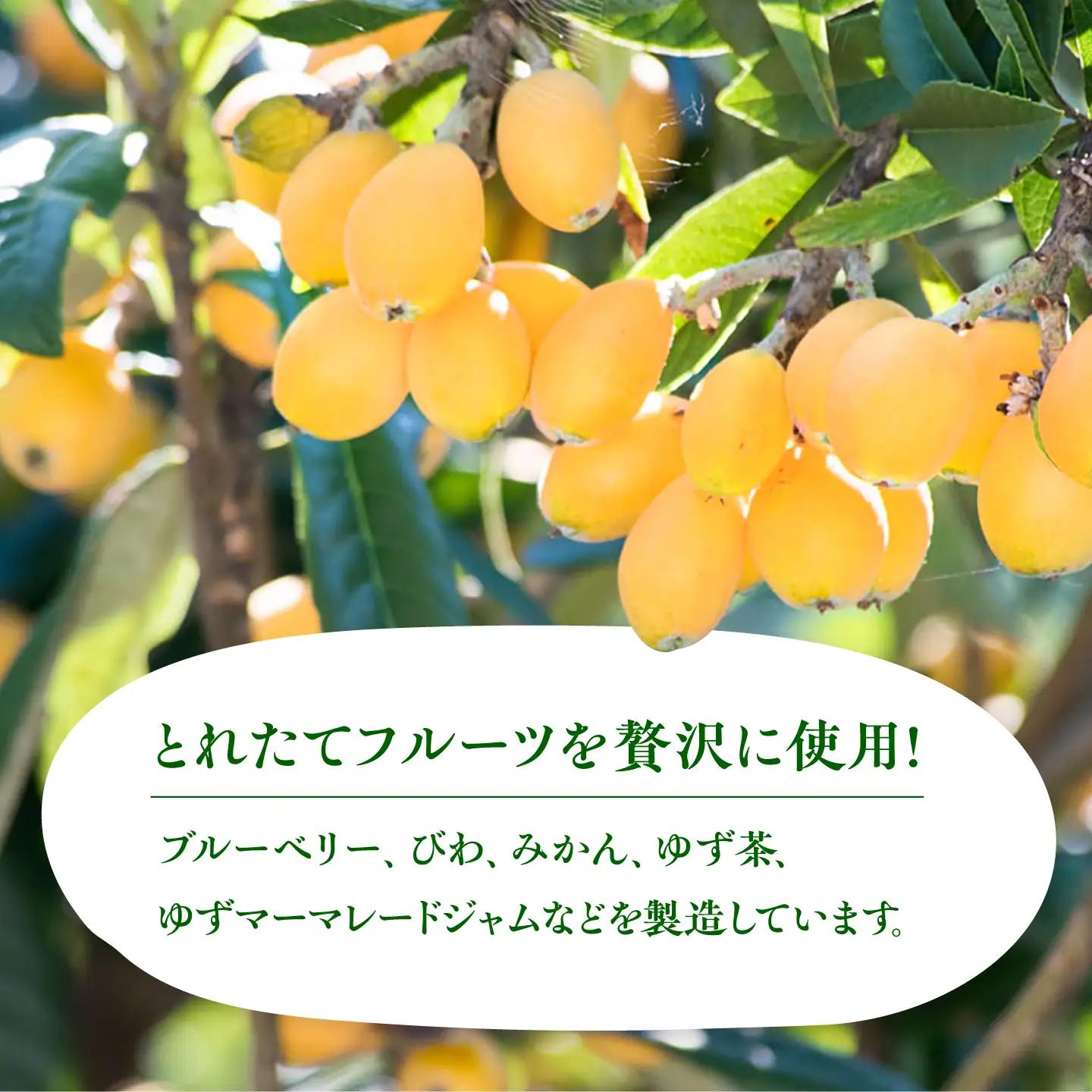 対馬のフルーツジャム 6本(3種類以上)セット フルーツ 果肉 ゆず ジャム ソース [WAM019]