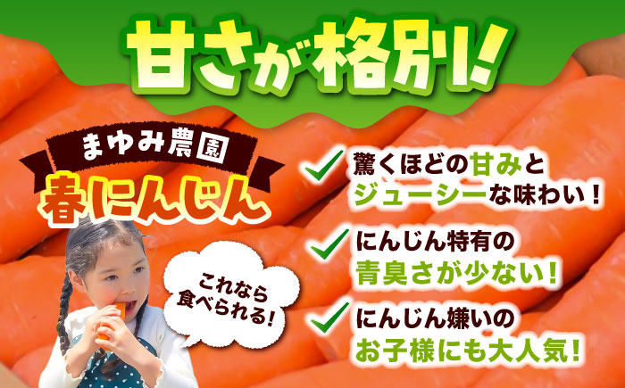 【先行予約】【4月中旬より順次発送】春にんじん10kg / ニンジン 野菜 β-カロテン 食物繊維 抗酸化作用 栄養満点 熊本県産 菊陽町 【株式会社 まゆみ農園】 [BHCW001]