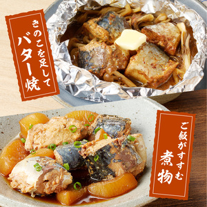 さば味噌煮缶セット(24缶)【C4-010】
