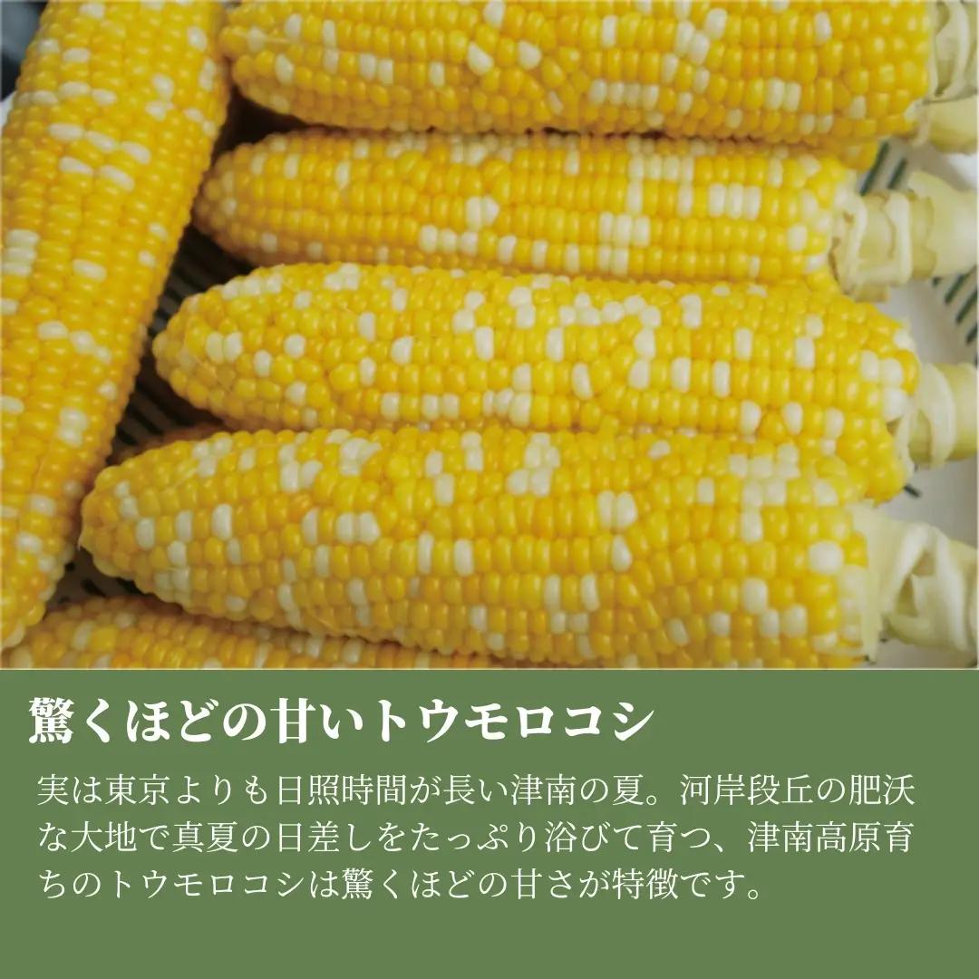とうもろこし 朝採れ ゴールドラッシュ 10kg 約24本 7月下旬発送開始 |津南町 とうもろこし