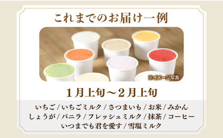 シュシュのスペシャルジェラート12個セット / アイス あいす アイスクリーム あいすくりーむ ジェラート じぇらーと スイーツ すいーつ / 大村市 / おおむら夢ファームシュシュ[ACAA038]