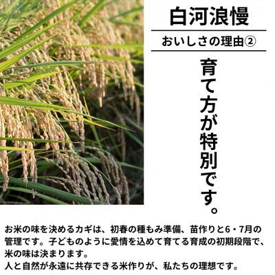 ふるさと納税 矢吹町 令和7年産米 白河浪慢こしひかり 5kg 精米 |  | 02