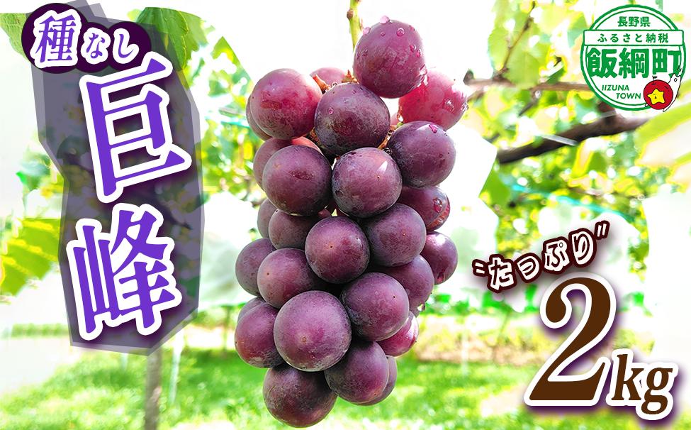 
                  ぶどう 種なし巨峰 約2kg ( 3 ~ 5 房 ) 有限会社ブラベリーファーム 配送先は本州限定 2026年9月下旬頃から2026年11月上旬頃まで順次発送予定 令和8年度収穫分 長野県 飯綱町 [2043]
                