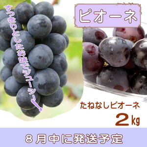 【定期便】夏をお届け！フルーツ定期便！小玉すいか・桃・ピオーネ（全3回）/ フルーツ 果物 すいか ひとりじめ7 もも モモ ぶどう ブドウ  旬 定期便  【tkb345】