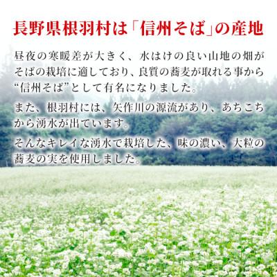 ふるさと納税 根羽村 南信州根羽村産　そば焼酎「根羽乃華」　720ml　2本 |  | 01