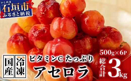 
ZH-20 沖縄 石垣島産 《ご家庭用》アセロラ3㎏（冷凍）
