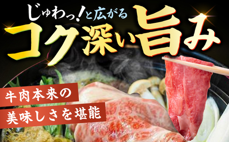 【全6回定期便】【厳選部位！】博多和牛 サーロイン しゃぶしゃぶ すき焼き用 300g 博多和牛 和牛 サーロイン 牛肉 赤身 黒毛和牛 スライス 広川町/株式会社MEAT PLUS[AFBO016]