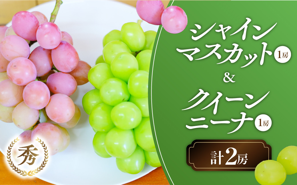 
【2025年発送】 計2房 シャインマスカット1房 クイーンニーナ1房 セット 先行予約 先行 予約 山梨県産 産地直送 フルーツ 果物 くだもの ぶどう ブドウ 葡萄 シャイン シャインマスカット クイーンニーナ 新鮮 人気 おすすめ 国産 贈答 ギフト お取り寄せ AN-132
