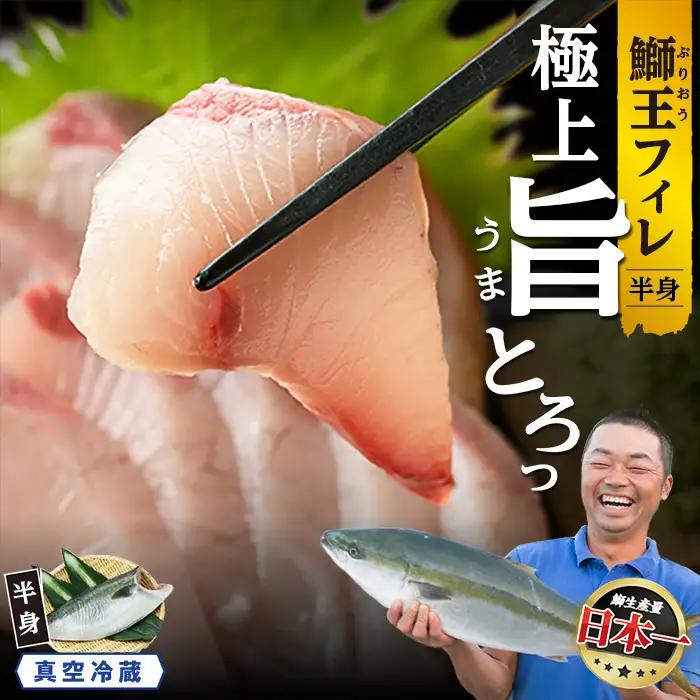 ＼先行予約／【10月以降順次発送】『旅サラダ』で紹介ぶりの王様「 鰤王 」 フィレ 半身 フィレ1枚 産地直送 新鮮 旨味が抜群の 長島町 特産品 ブランド ぶり 鰤 ブリ 切り身 真空 冷蔵 刺身 ぶりしゃぶ しゃぶしゃぶ 魚 魚介 人気 ランキング 【JFA】jfa-7006R8