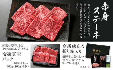 飛騨牛 赤身ステーキ 600g（100g×6枚） 冷凍真空パック | 肉 お肉 ステーキ 黒毛和牛 和牛 人気 おすすめ 牛肉 ギフト お取り寄せ 7日以内お届け[MZ018]