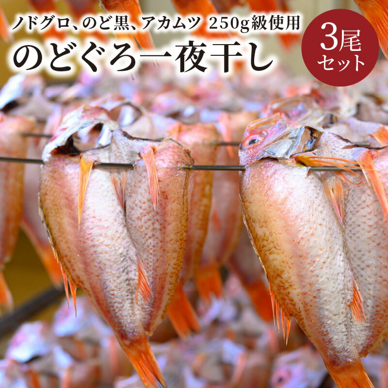 【ふるさと納税】【海鮮の匠　魚政】のどぐろ一夜干し（ノドグロ、のど黒、アカムツ）250g級使用 干し上がり後 175g以上 3尾セット 海鮮 魚介 天然塩 冷凍 干物 一夜干し 脂のり 焼き魚 高級魚 旬 旨み 凝縮 塩焼き 煮付け 濃厚 上質 脂 日本海 個包装 魚政 送料無料
