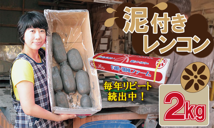 
            佐賀県産 泥付き レンコン（2kg） 有明・潮風ファーム 蓮根 れんこん
          