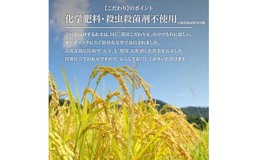 【 令和8年産 新米 】 ミルキークイーン 10kg 白米 玄米 化学肥料不使用 環境こだわり米 特別栽培米 国産 滋賀県 日野町 農家直送 米 産地直送 ふるさと納税