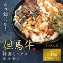 【ふるさと納税】もつ鍋にも!【但馬牛】特選ミックスホルモン1kg(500g×2P)【配送不可地域：離島】神戸牛 神戸ビーフ 牛肉 黒毛和牛 国産牛 ブランド和牛 ホルモン ミックスホルモン 1キロ 兵庫県 朝来市 AS1DA1