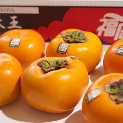 ふるさと納税 大木町 【先行受付】福岡産ブランド 柿 秋王 約3kg(8-12玉)(大木町)CO012 |  | 01