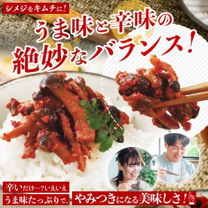 シメチャンジャセット（180g×5パック）　AT02