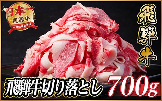 飛騨牛　切り落とし　約700g(約350g×2)【冷蔵便】A4〜A5等級 黒毛和牛 小分け【配送不可地域：離島】【1534687】