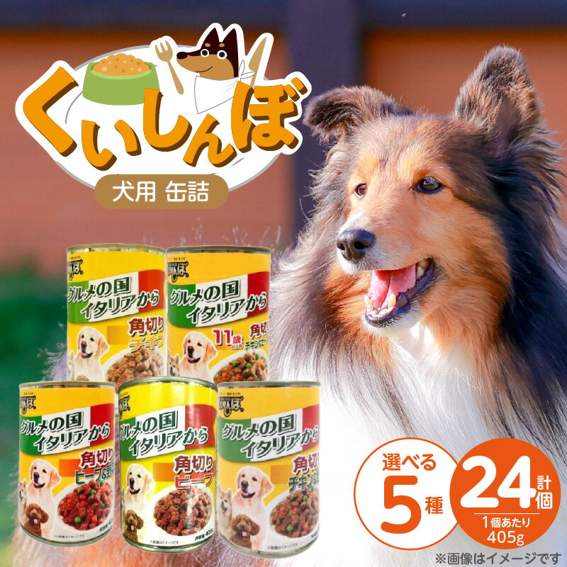 【ふるさと納税】くいしんぼ 犬用 缶詰 405g×24個 選べる セット内容 角切り チキン ビーフ チキン＆野菜 ビーフ＆野菜 成犬用 11歳以上用 犬 サポートフード 噛みごたえ 栄養バランス 消化吸収 優れた ペットフード ドッグフード 福岡県 久留米市 送料無料