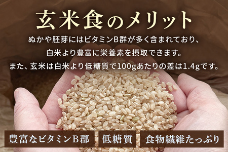 令和7年産新米 玄米 5kg 栽培期間中農薬不使用 こしひかり 茨城県産 米 お米 コメ ご飯 コシヒカリ 食味豊か 甘み 旨み 冷めても 美味しい お弁当 向け 食卓常備 産地直送 茨城県 潮来市 