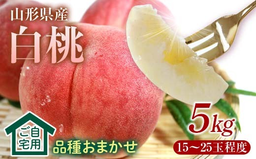 《先行予約2026年度発送》♪フルーツ王国山形♪白桃5kg箱 満杯詰 ご自宅用 もも モモ 桃 デザート フルーツ 果物 くだもの 果実 食品 山形県 FSY-2466