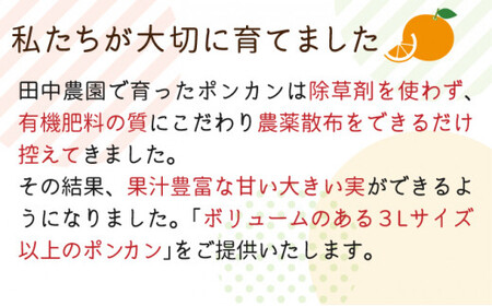 【先行予約】ポンカン 3kg（3Lサイズ） 国産 東洋町産 訳あり 甘酸っぱい ジューシー 蜜柑 ミカン 有機肥料 高知県 東洋町 四国 お取り寄せ フルーツ 果物 送料無料 TA13 [T-03] 