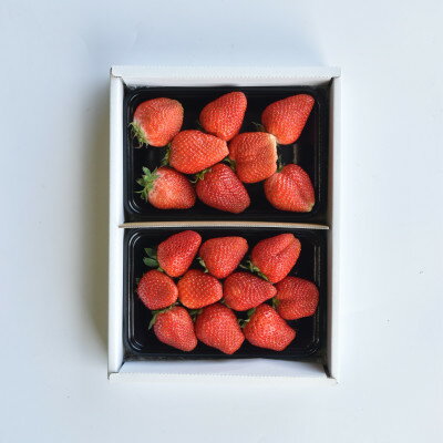 【ふるさと納税】【発送月固定定期便】山梨市産　季節のフルーツ定期便全3回【配送不可地域：離島・沖縄県】【4069557】